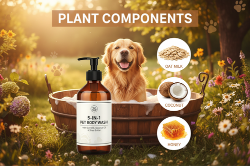 Plant Components - Lifestyle